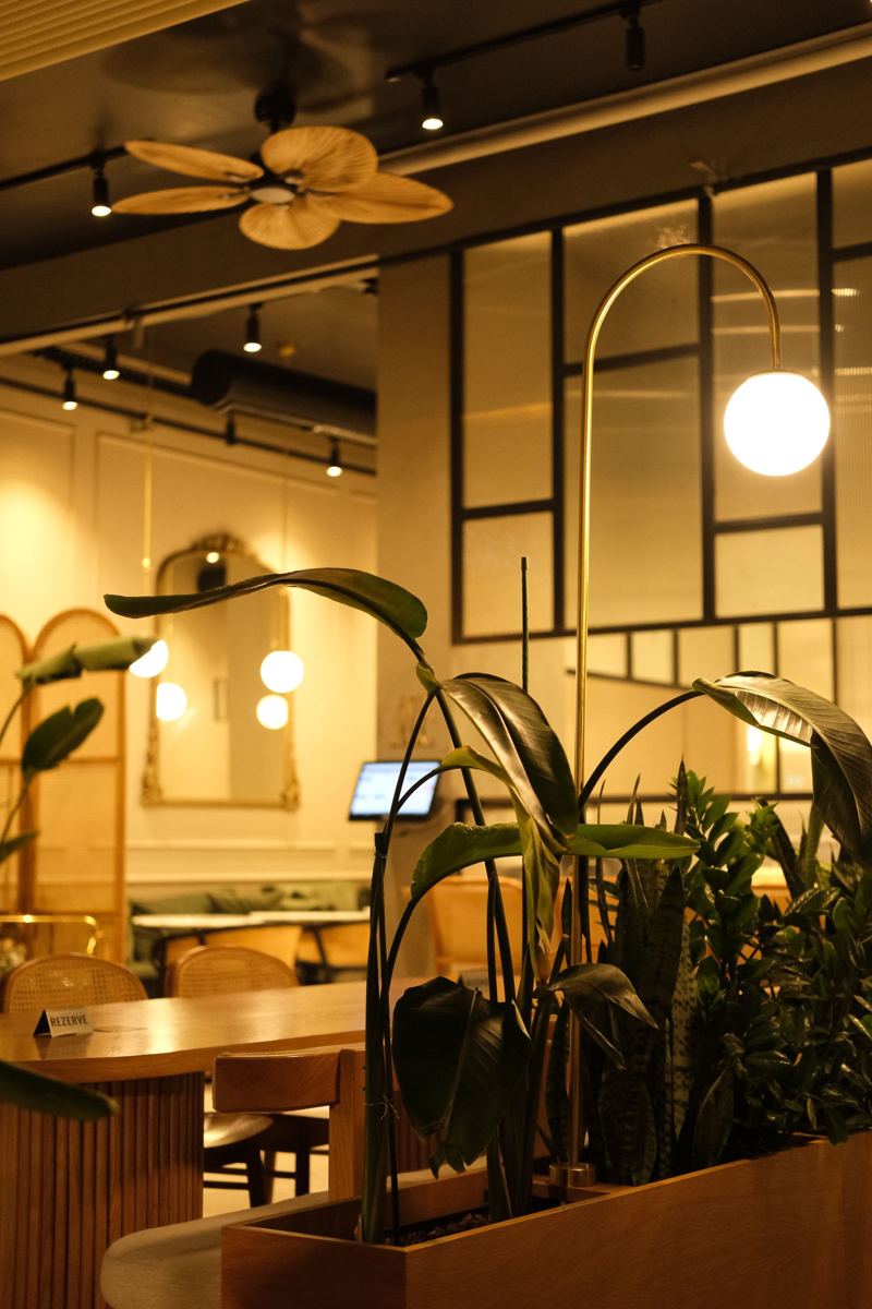 Salón cálido con plantas, lámparas y mesas de madera